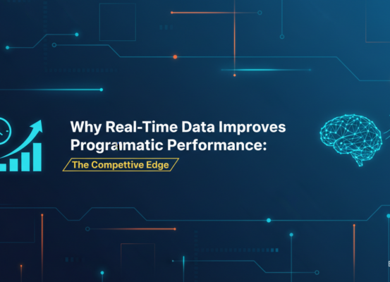 Blog banner with title 'Why Real-Time Data Improves Programmatic Performance: The Competitive Edge' over a digital network background.